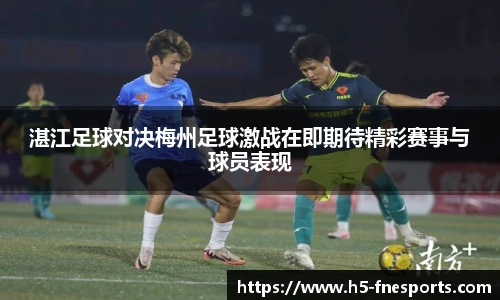 蜂鸟电竞官方网站