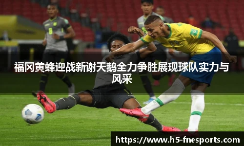 福冈黄蜂迎战新谢天鹅全力争胜展现球队实力与风采